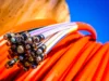 Glasfaserkabel (Quelle: Adobe Stock).