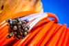 Glasfaserkabel (Quelle: Adobe Stock).