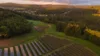 Große Photovoltaik-Anlage auf grünen Feldern, umgeben von Wäldern und einer ländlichen Landschaft im Sonnenuntergang.