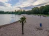 Strand am Badesee mit Palme