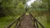 Naturschutzgebiet Biedensand, versunkene Holtbrücke