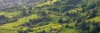 Landschaft Bergstraße, Weinberge, Bäume, schönes Abendlicht
