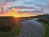 Solarpark auf einer Wiese mitten im Wald bei Sonnenuntergang