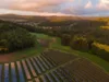 Solarpark in Wald-Michelbach
