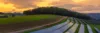 PV-Anlage in Wald-Michelbach